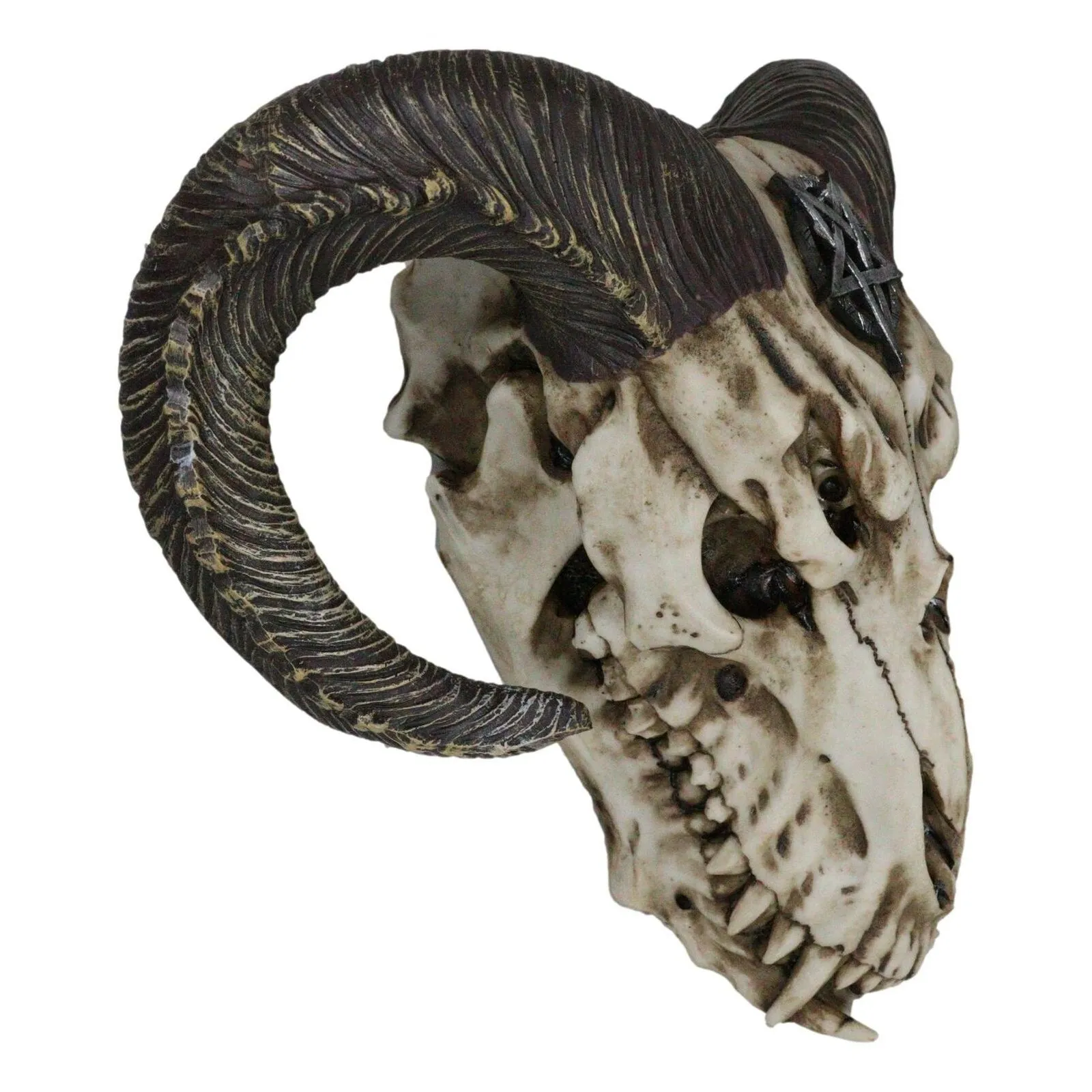 10.5" Ram Skull with Pentagram Wall Statue