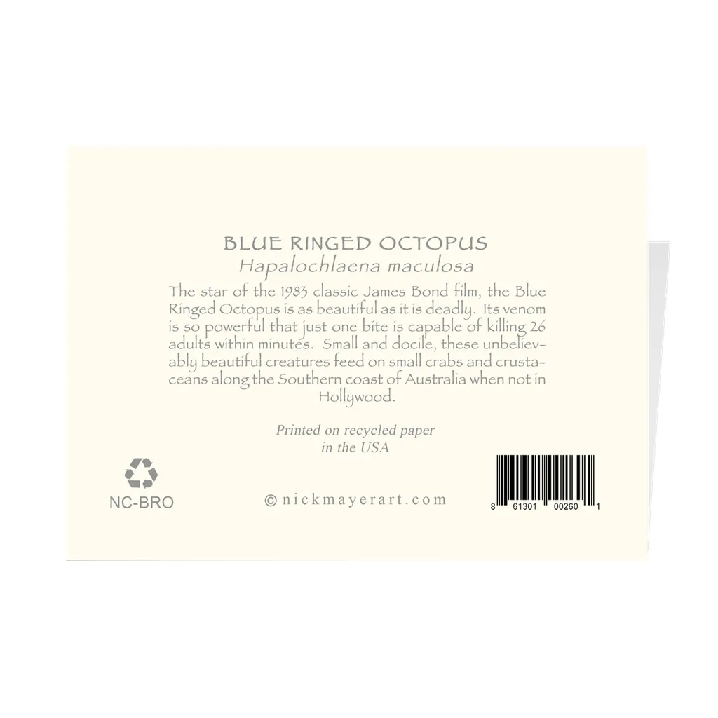 Blue Ringed Octopus Notecards