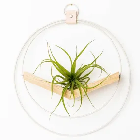 Braid & Wood Design Studio - V-Hanger (Light & Airy) - White Air Plant Holder: Large