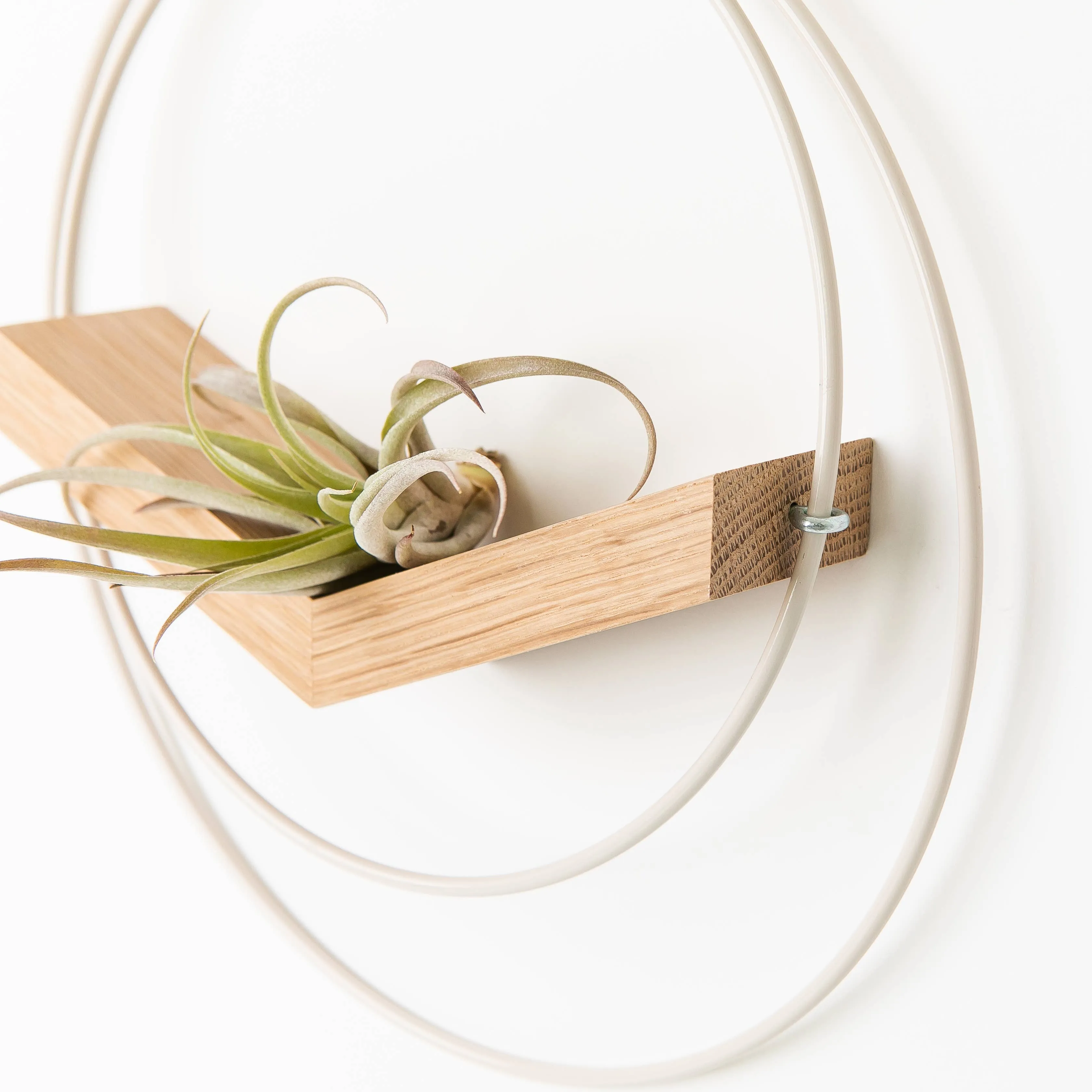 Braid & Wood Design Studio - V-Hanger (Light & Airy) - White Air Plant Holder: Large