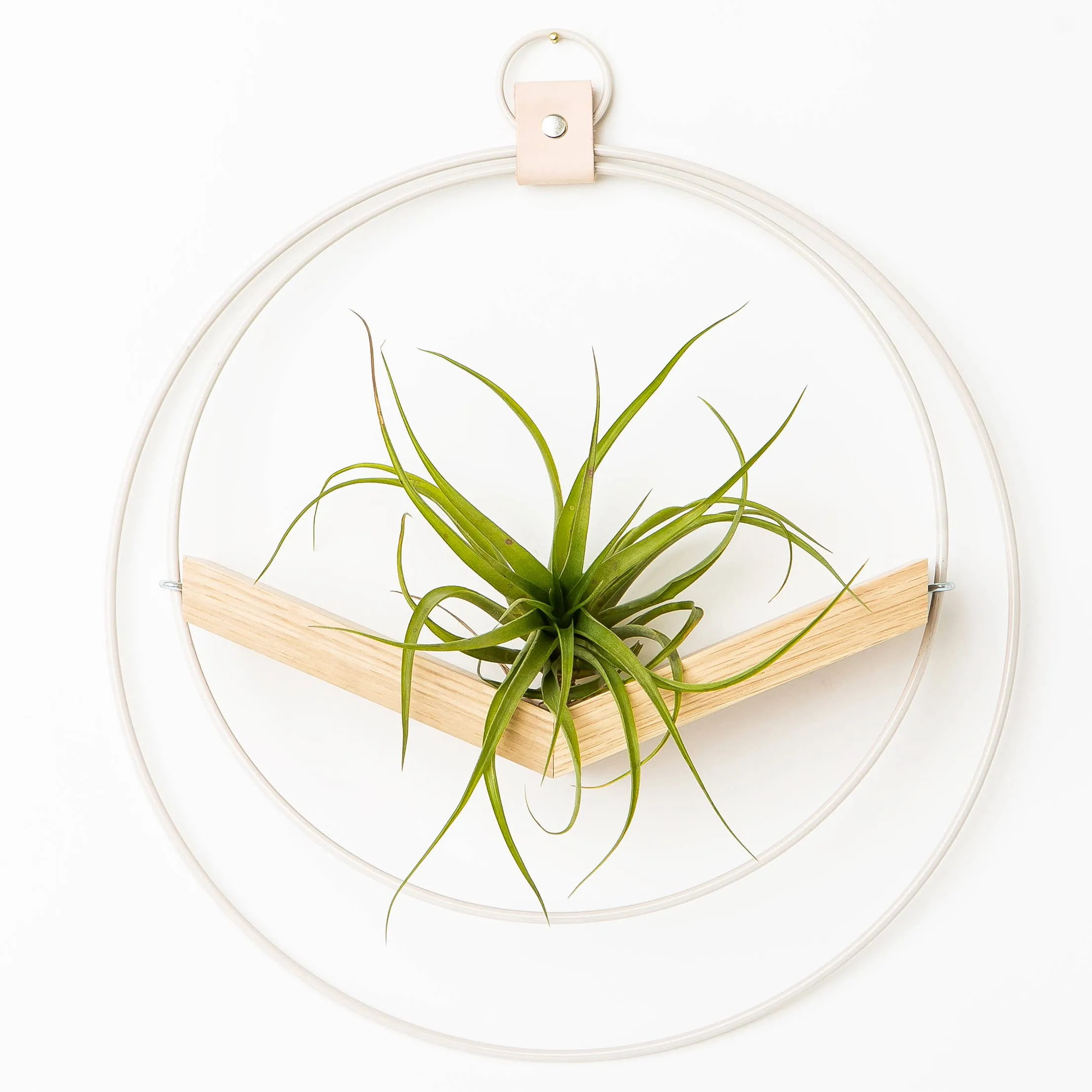 Braid & Wood Design Studio - V-Hanger (Light & Airy) - White Air Plant Holder: Large