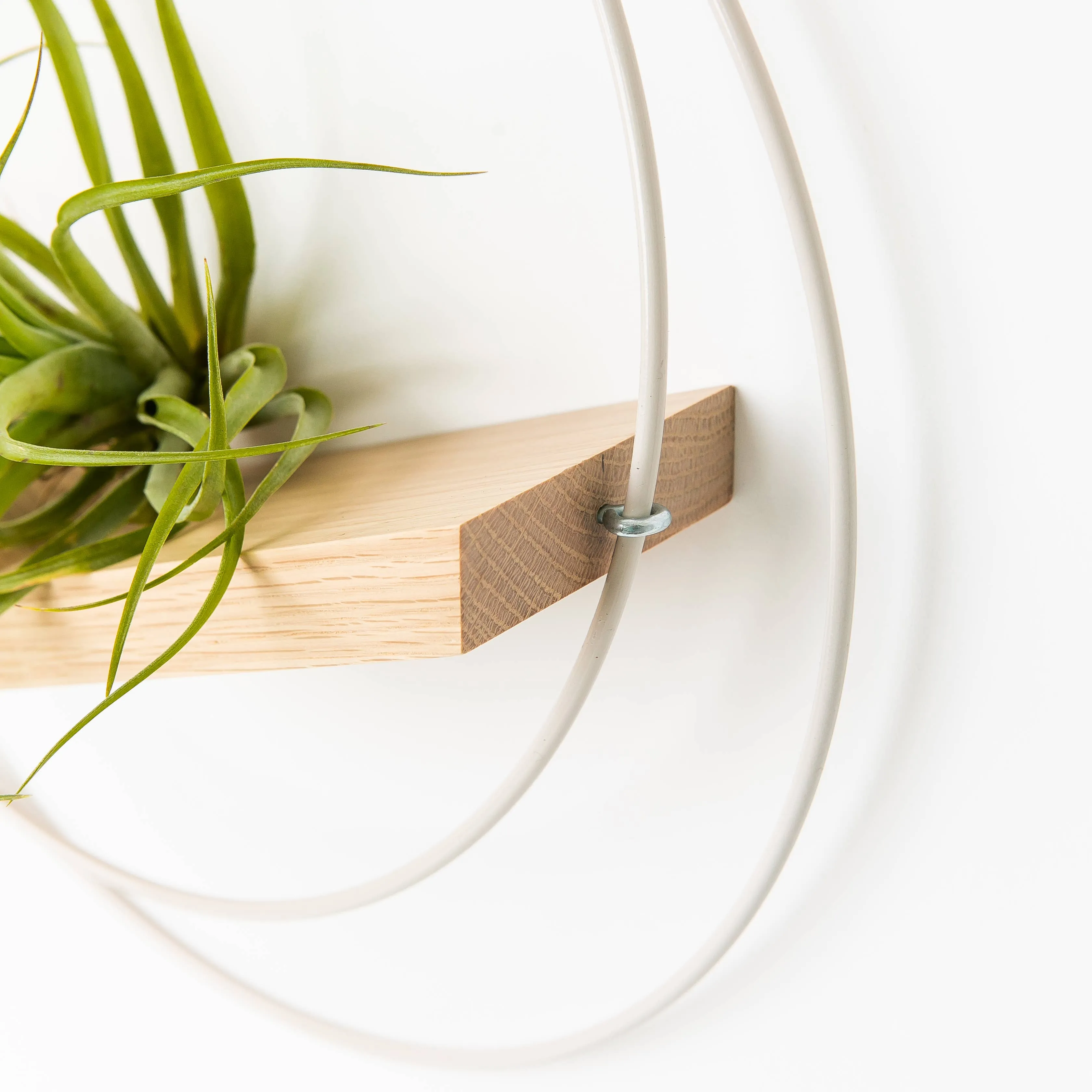 Braid & Wood Design Studio - V-Hanger (Light & Airy) - White Air Plant Holder: Large