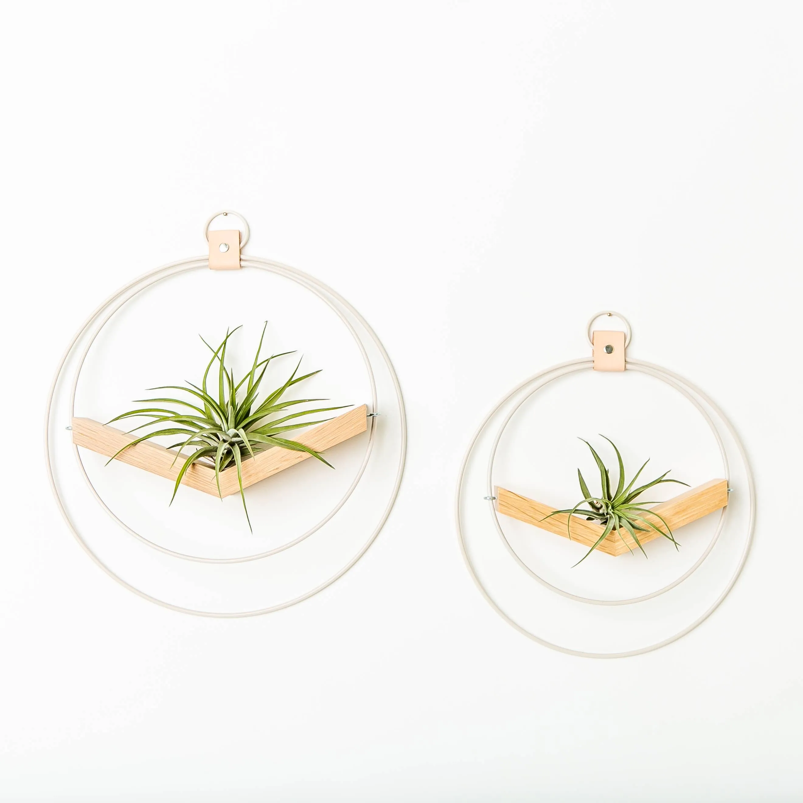 Braid & Wood Design Studio - V-Hanger (Light & Airy) - White Air Plant Holder: Large