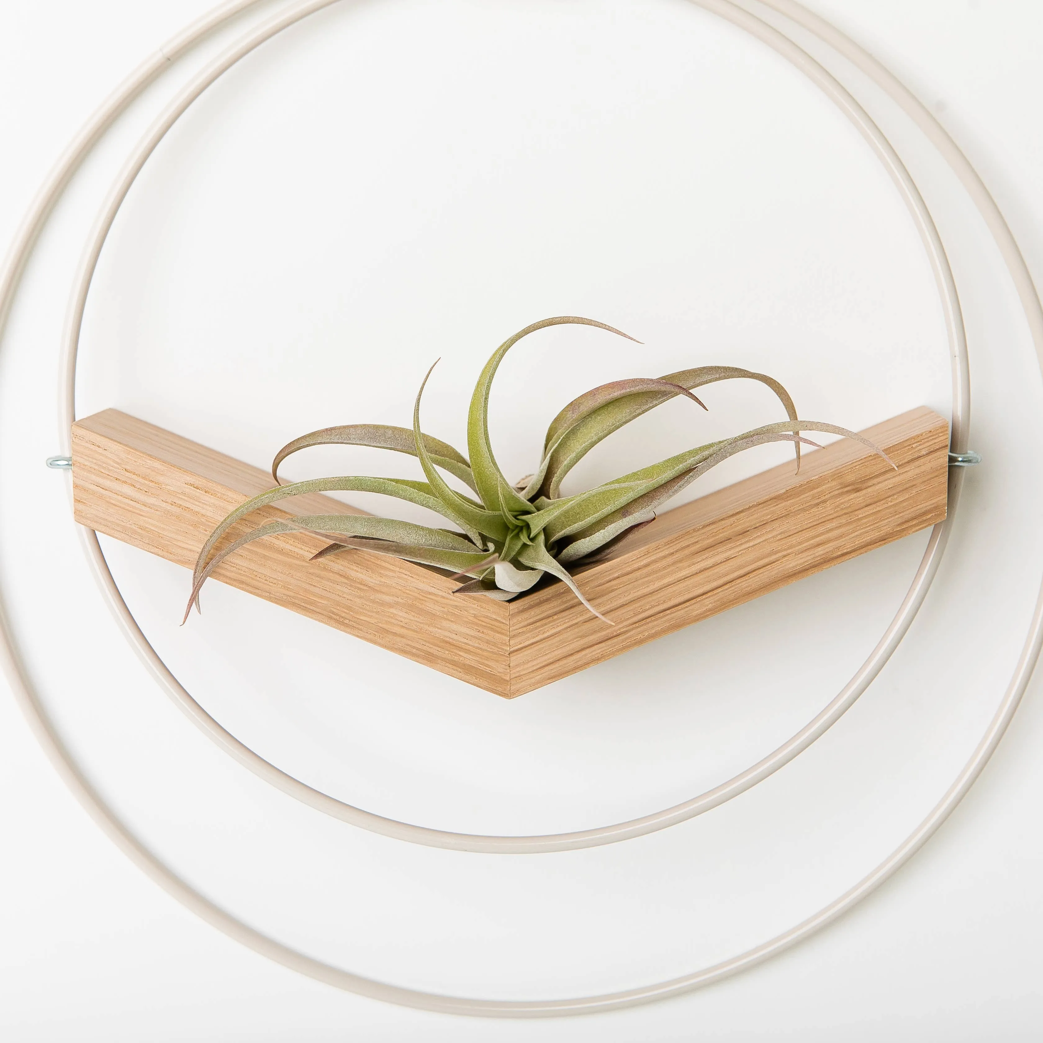 Braid & Wood Design Studio - V-Hanger (Light & Airy) - White Air Plant Holder: Large