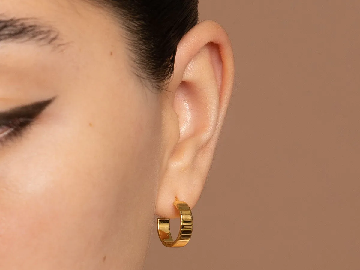 Cigar Band Hoop Earrings