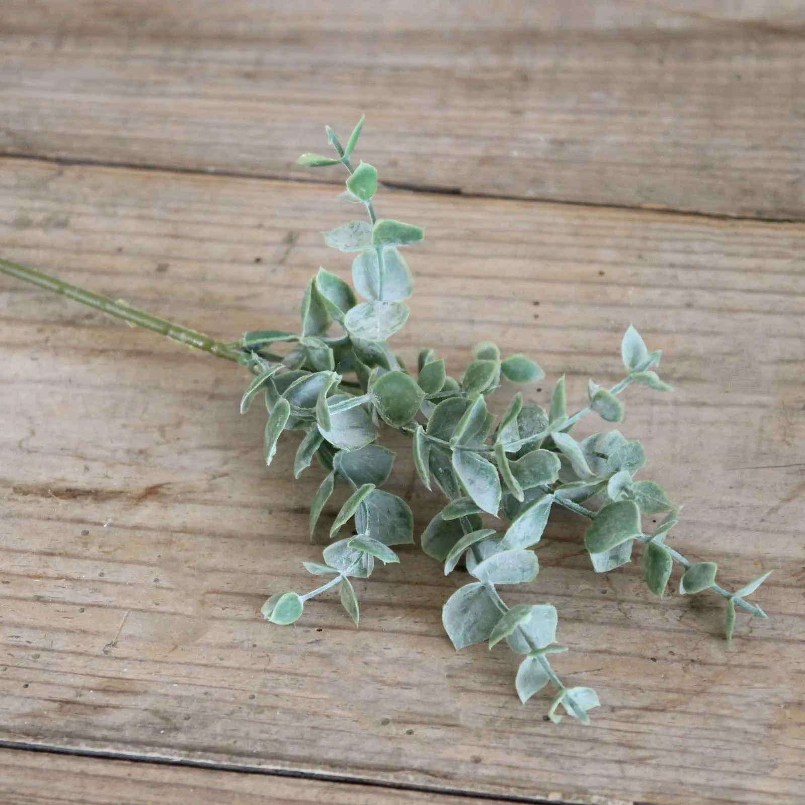 Mini Eucalyptus Sprig