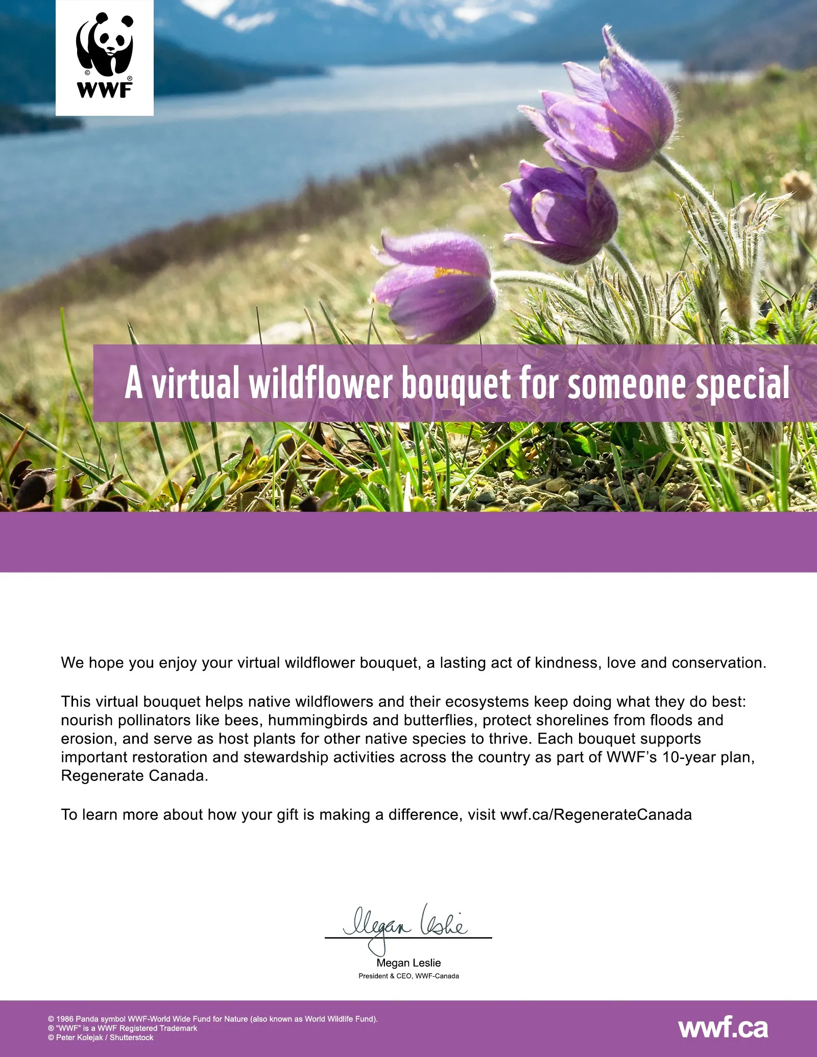 nourish nature with a wildflower bouquet