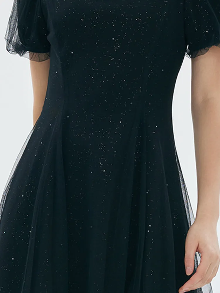 Sequined Fitted A-Line Midi Dress