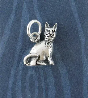 Witch's Mischievous Cat Charm