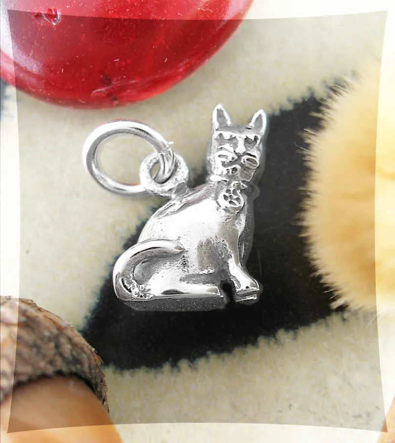 Witch's Mischievous Cat Charm